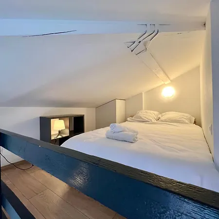 Daire Le Duplex Toulousain - Tram Metro - Centre