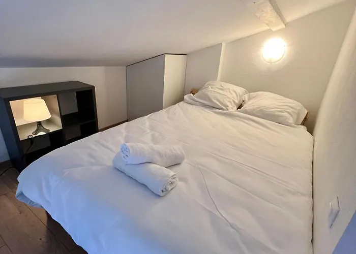 Le Duplex Toulousain - Tram Metro - Centre