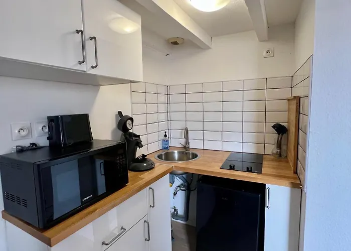 Le Duplex Toulousain - Tram Metro - Centre Apartment *