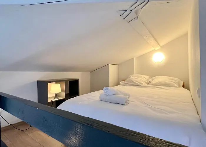 Apartmán Le Duplex Toulousain - Tram Metro - Centre