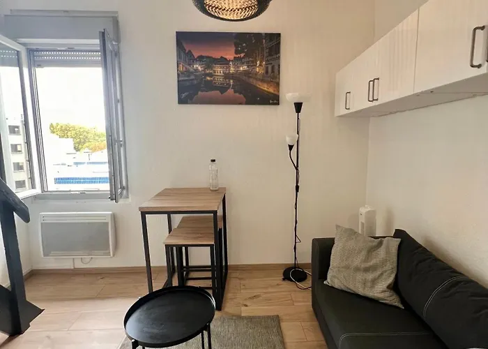 Apartment Le Duplex Toulousain - Tram Metro - Centre Toulouse
