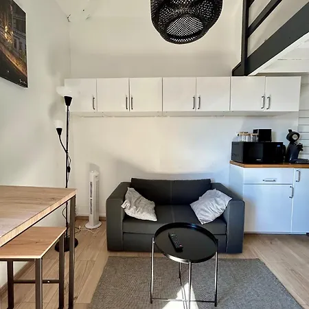 Apartamento Le Duplex Toulousain - Tram Metro - Centre